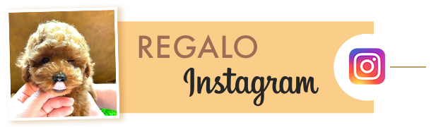 REGALO インスタグラム